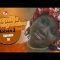 Famille Senegalaise Saison 03 Episode 10
