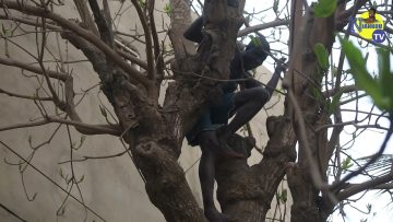 Koor Baye Gogne Episode 28