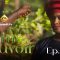 la Graine du Pouvoir Saison 1 Episode 1