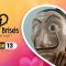 Coeurs Brisés Saison 1 Episode 13