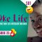 Fake Life Saison 1 Episode 23