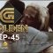 Golden Episode 45